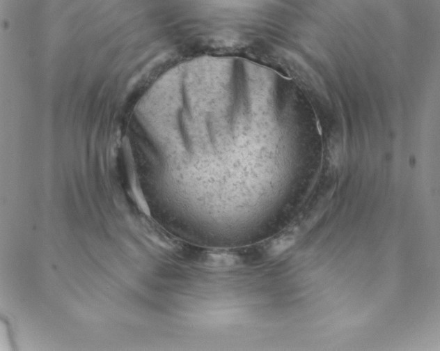 X0000088650376200706081644