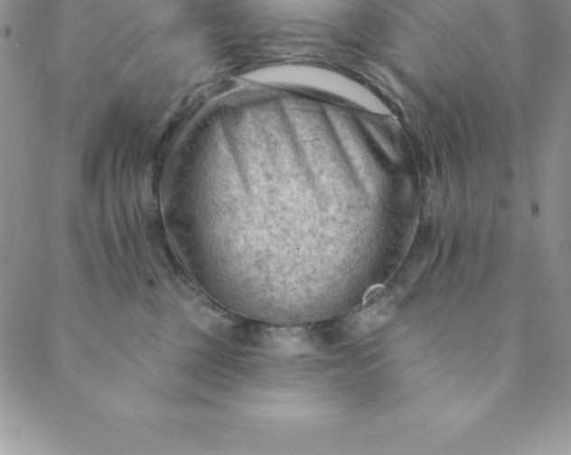 X0000088650377200706081644