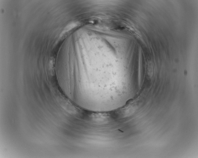 X0000088650378200706081644