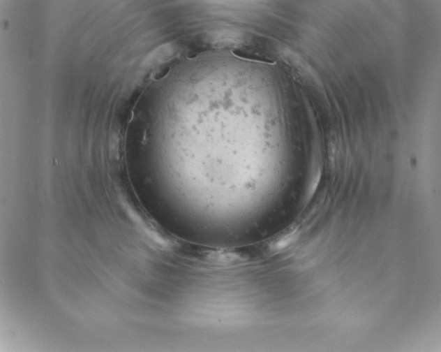 X0000088650379200706081644