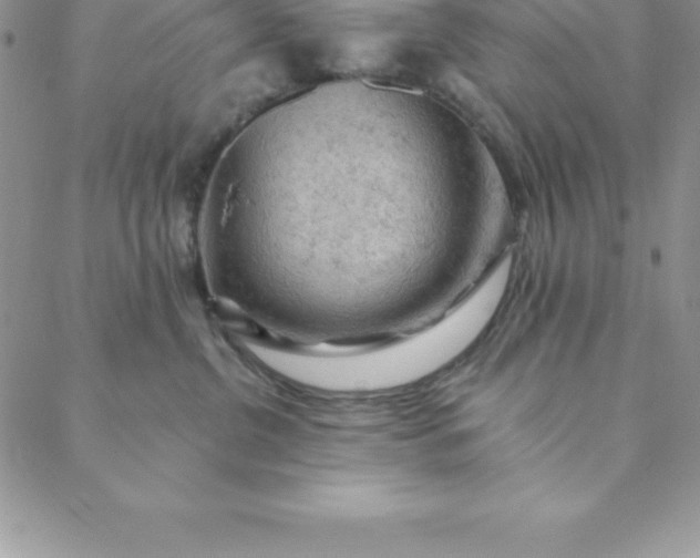 X0000088650380200706081644