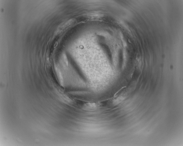 X0000088650381200706081644