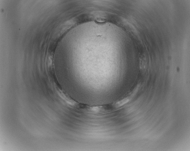 X0000088650382200706081644