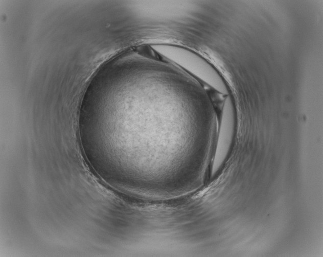 X0000088650385200706081643