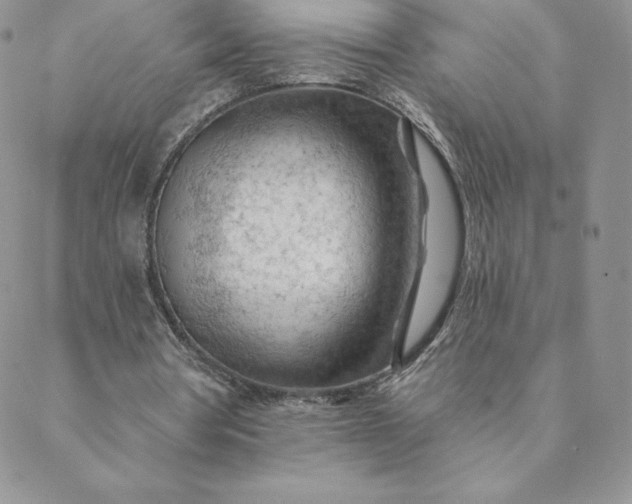 X0000088650386200706081643