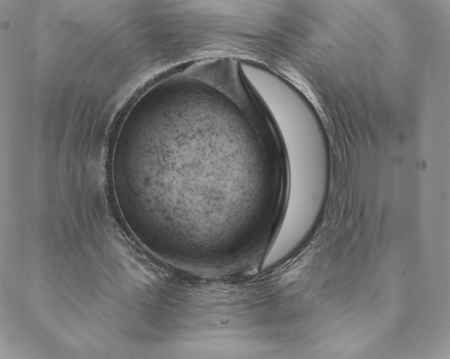 X0000088650387200706081643