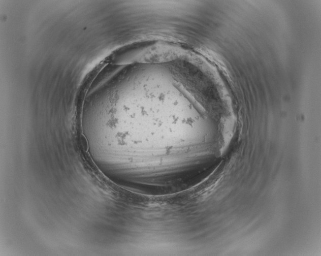 X0000088650388200706081643