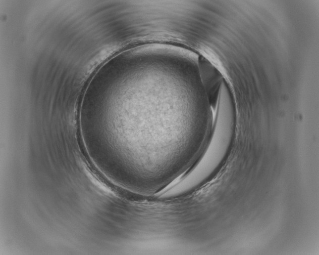 X0000088650389200706081643