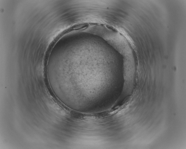 X0000088650391200706081643