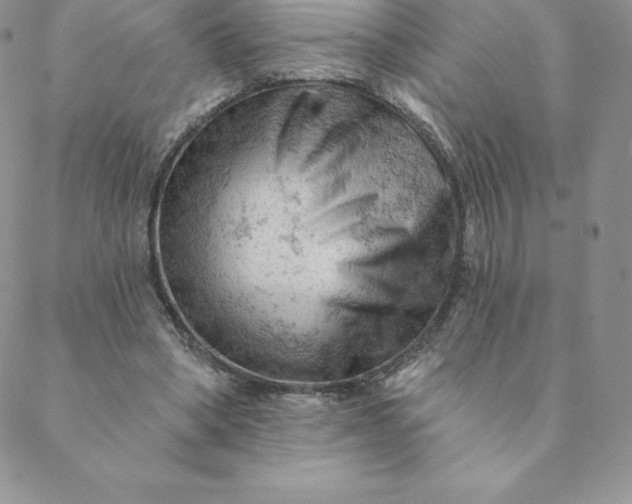 X0000088650394200706081643