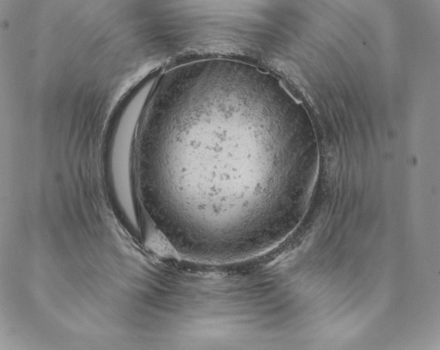 X0000088650395200706081643