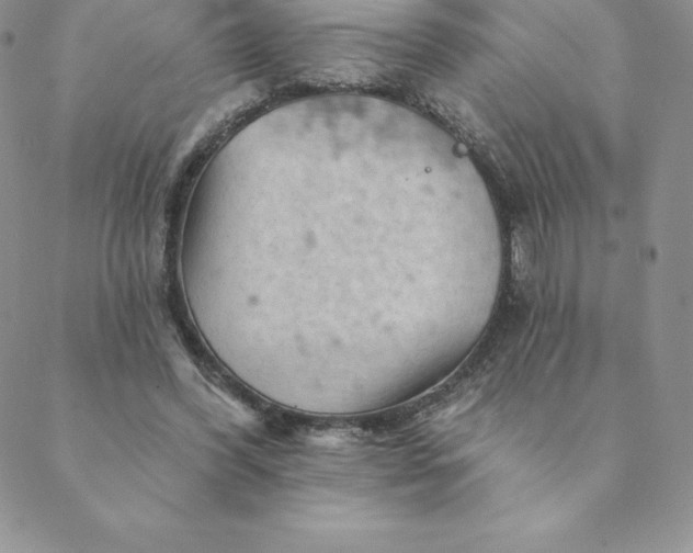 X0000088650396200706081643