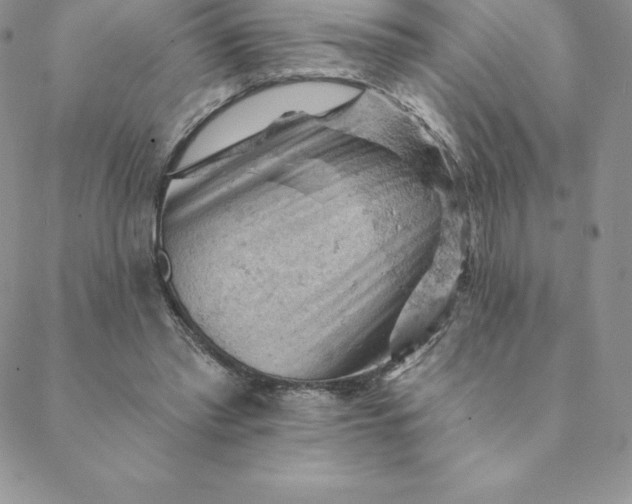 X0000088650397200706081643