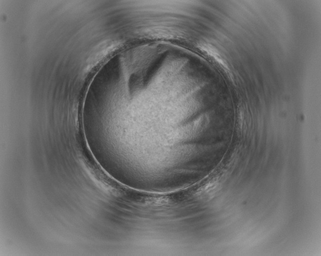 X0000088650398200706081643