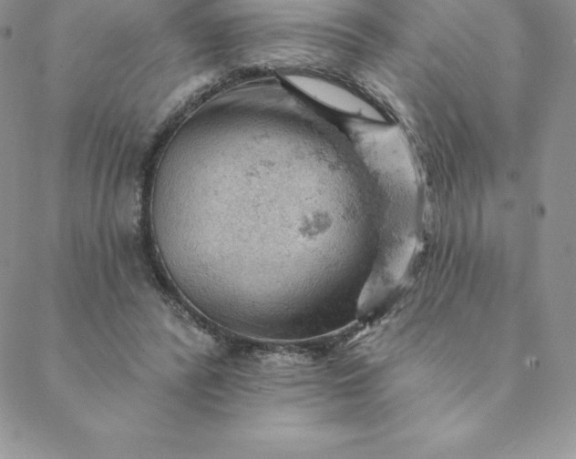 X0000088650400200706081643