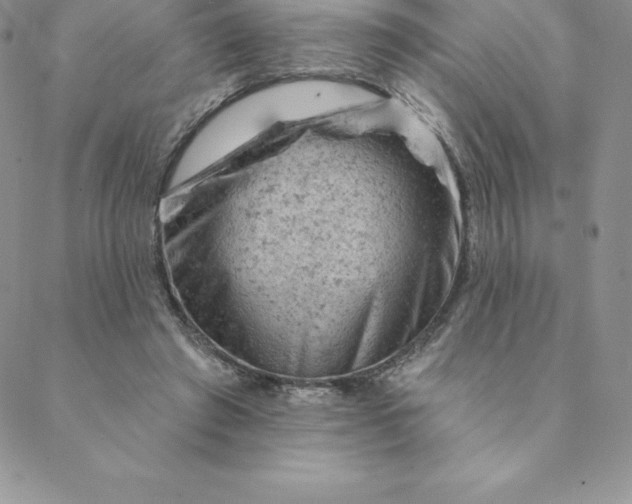 X0000088650401200706081643