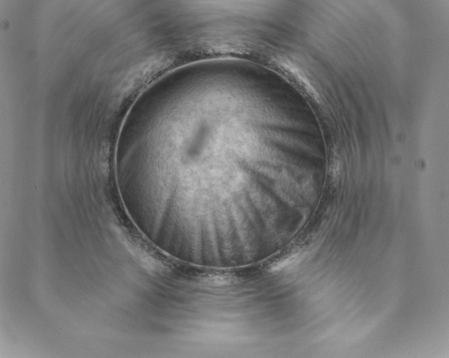 X0000088650402200706081643