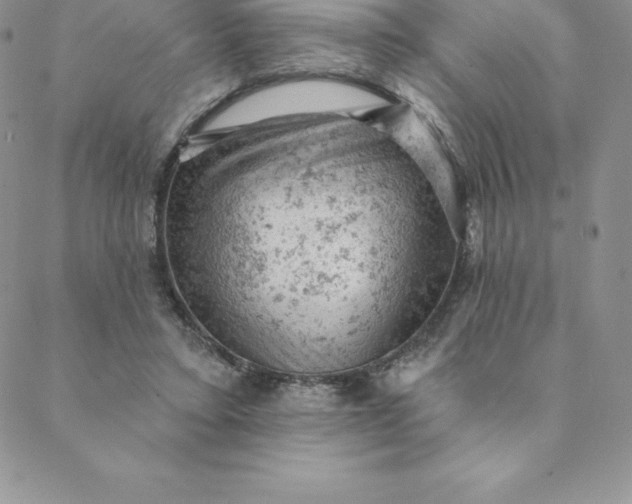 X0000088650403200706081643