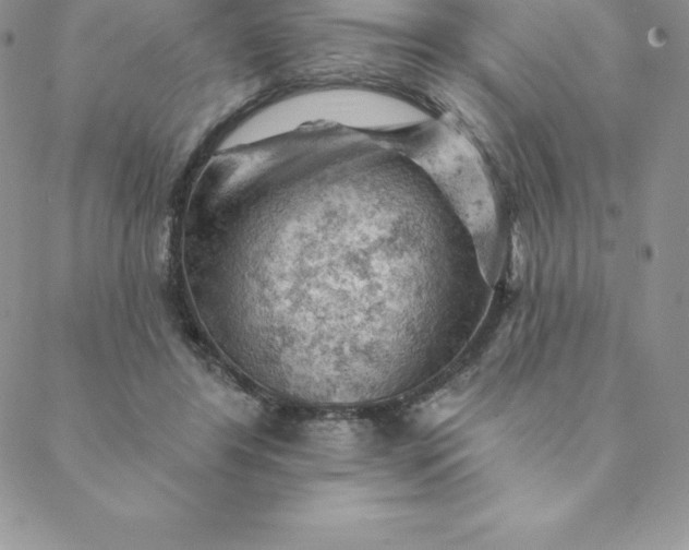 X0000088650404200706081643