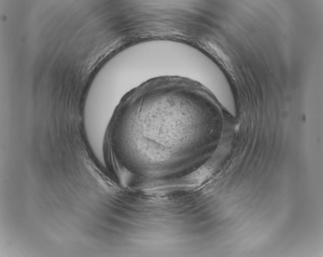 X0000088650405200706081643