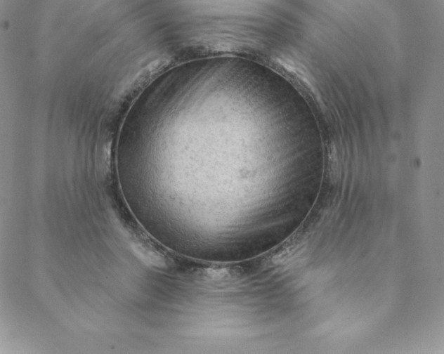 X0000088650406200706081643