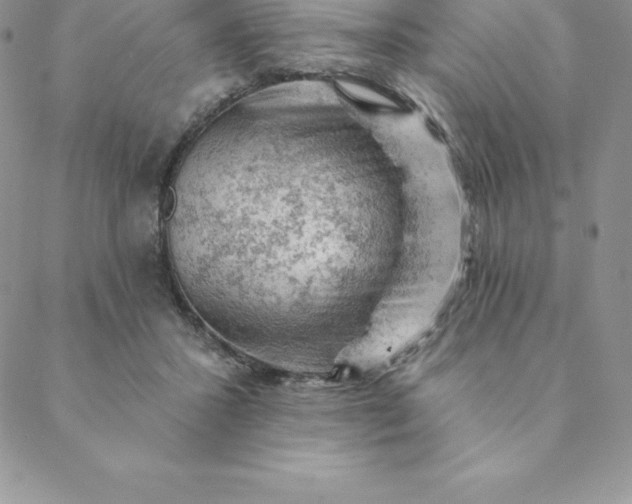 X0000088650407200706081642