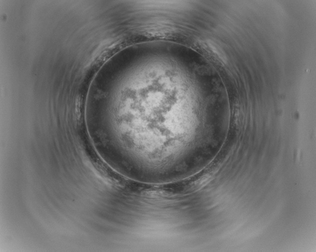 X0000088650408200706081642