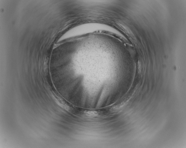 X0000088650409200706081642