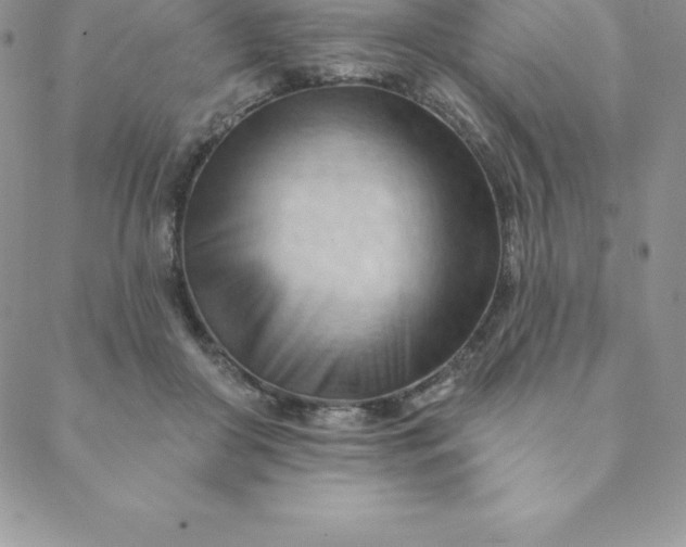 X0000088650410200706081642