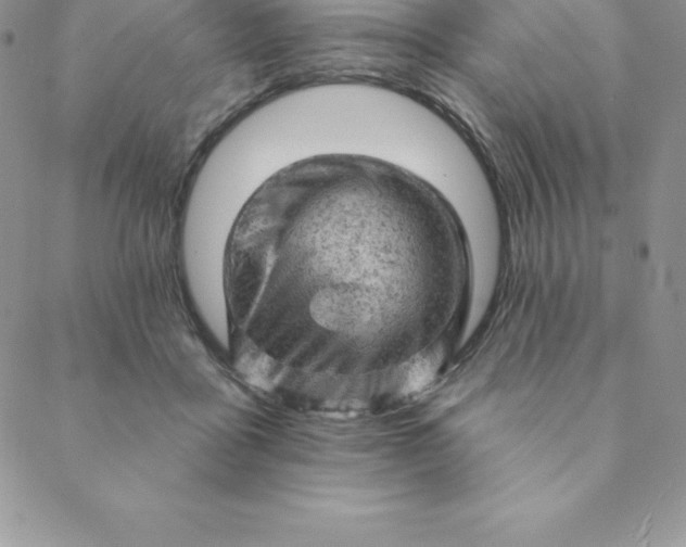 X0000088650411200706081642