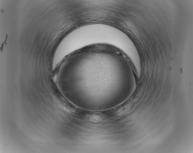 X0000088650412200706081642