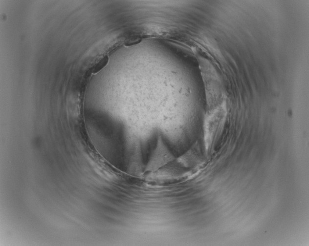 X0000088650413200706081642