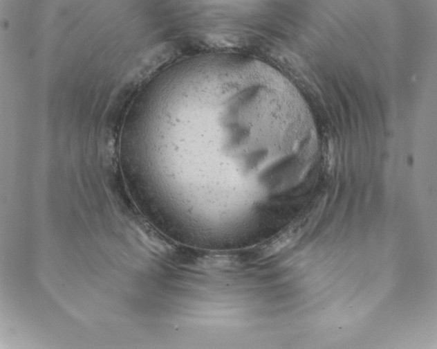 X0000088650418200706081642