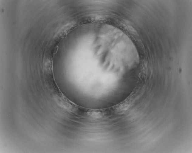 X0000088650419200706081642