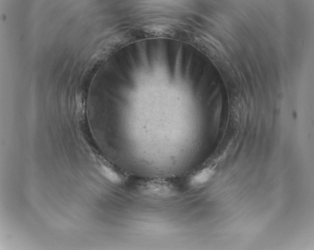 X0000088650420200706081642