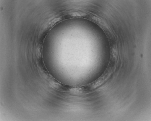 X0000088650422200706081642