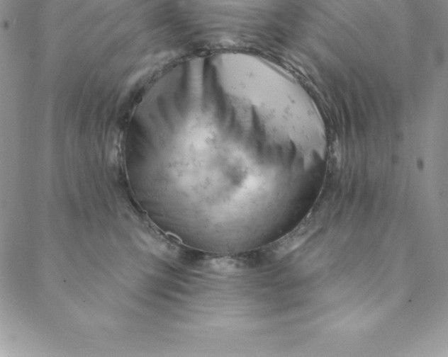 X0000088650423200706081642