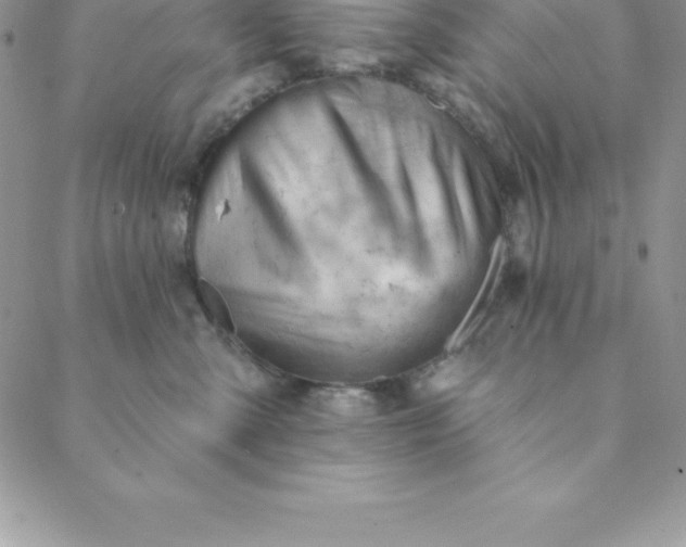 X0000088650427200706081642