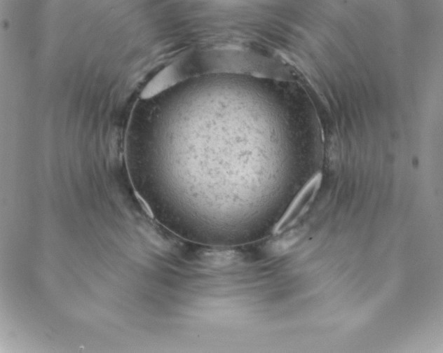 X0000088650428200706081642