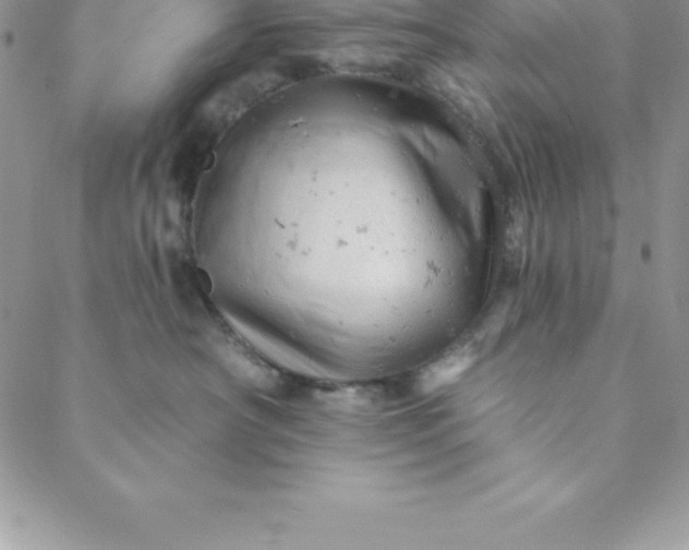 X0000088650430200706081642