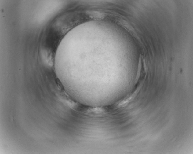 X0000088650431200706081642