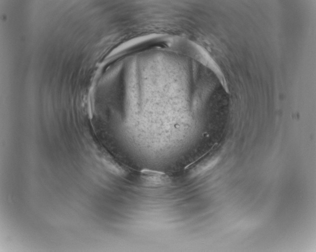 X0000088650432200706081642