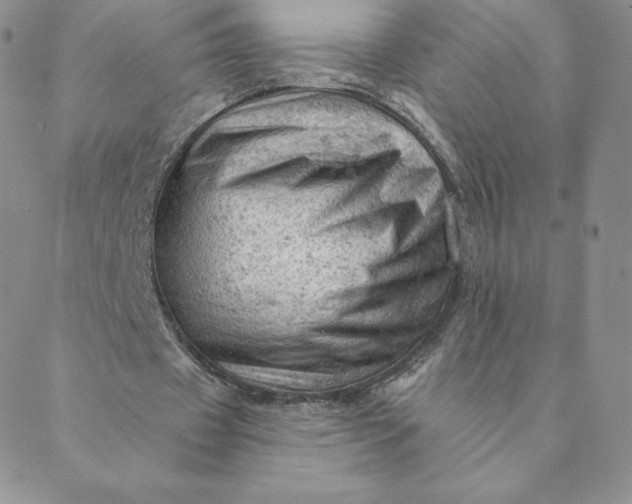 X0000088650433200706081641