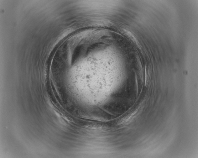 X0000088650435200706081641