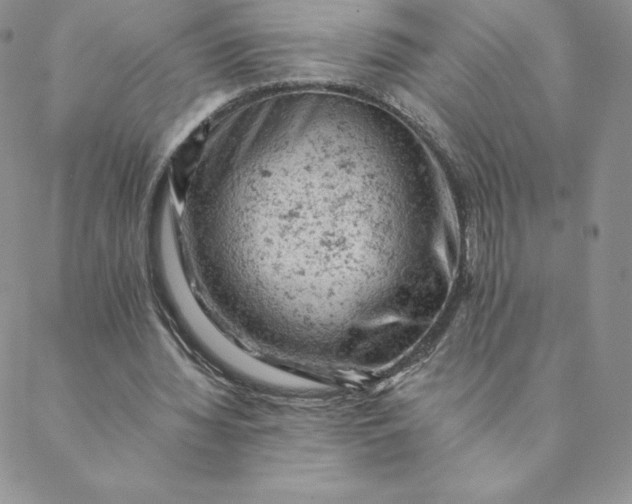 X0000088650436200706081641