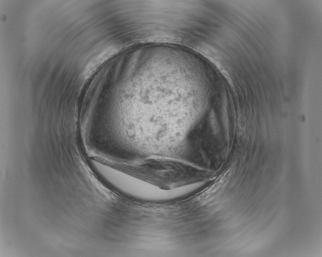 X0000088650437200706081641