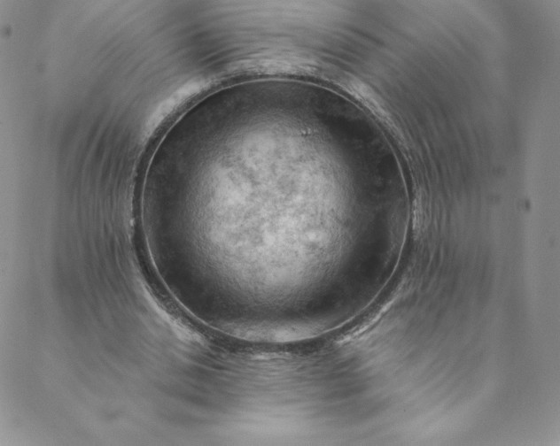 X0000088650438200706081641