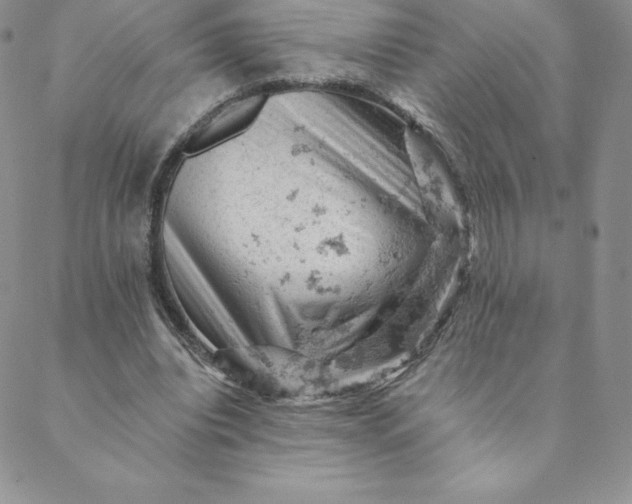 X0000088650440200706081641