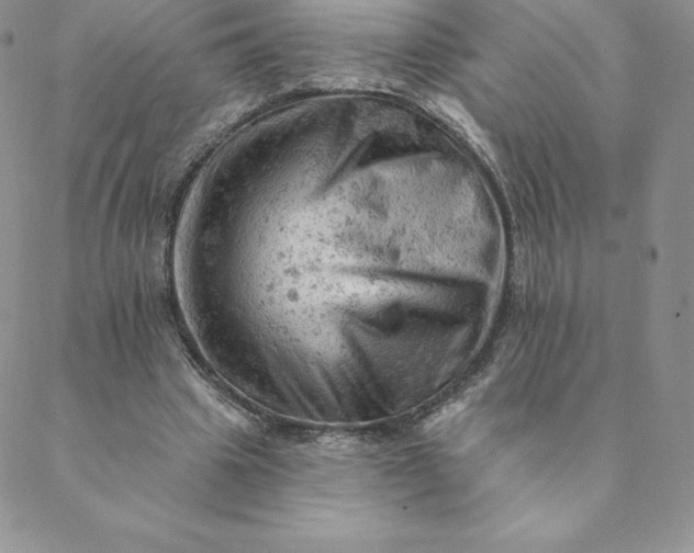 X0000088650441200706081641