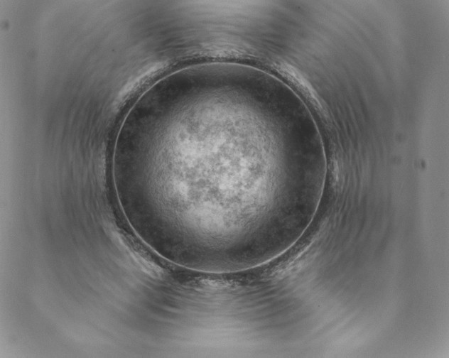 X0000088650442200706081641